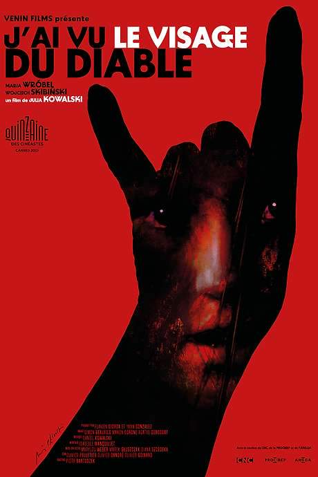 I Saw the Face of the Devil